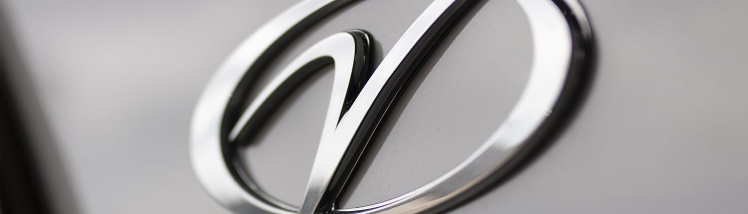 Close up of the chrome Veranda logo on a charcoal metallic side panel of a pontoon with shallow depth of field.