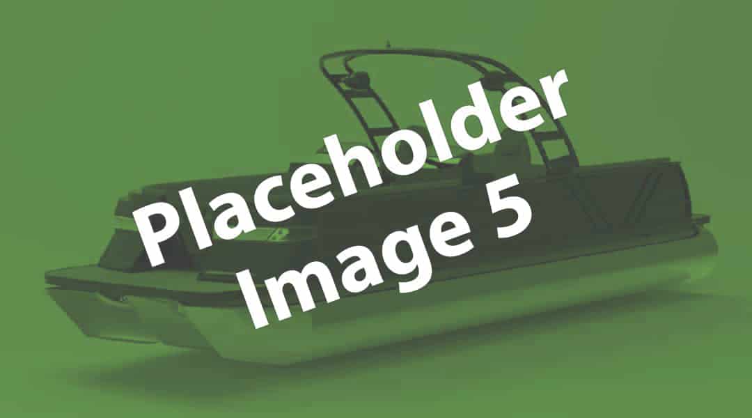 placeholder6