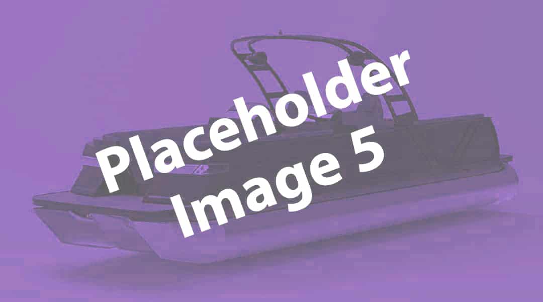 placeholder7