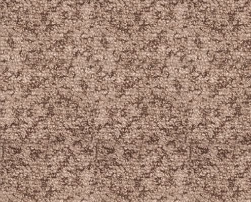 Willow Tan